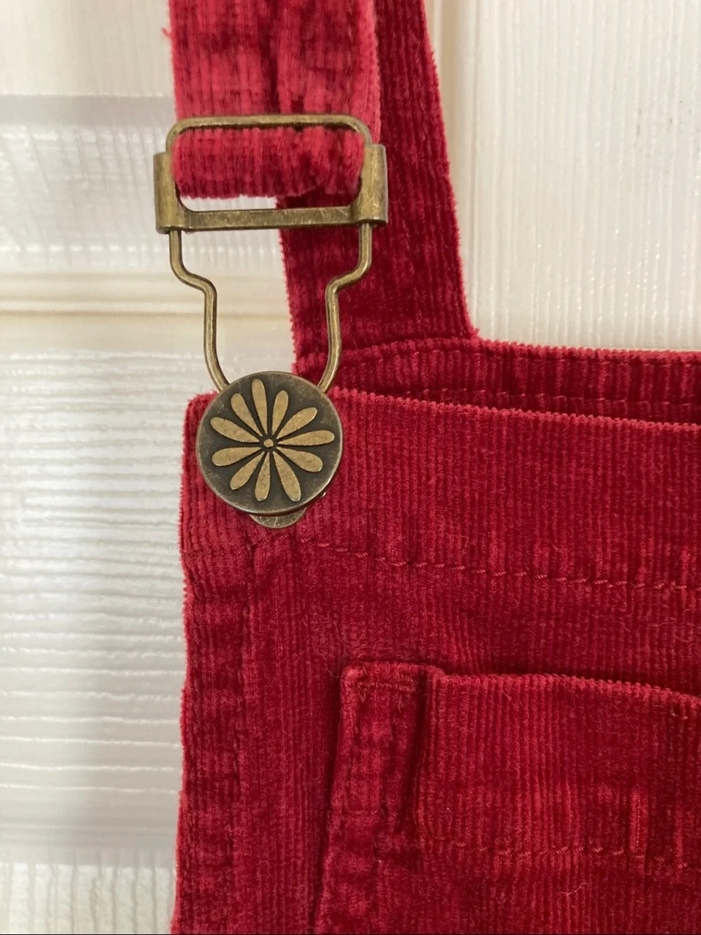 Show me your mumu Crimson Corduroy Bib Overalls - Picture 7 of 13